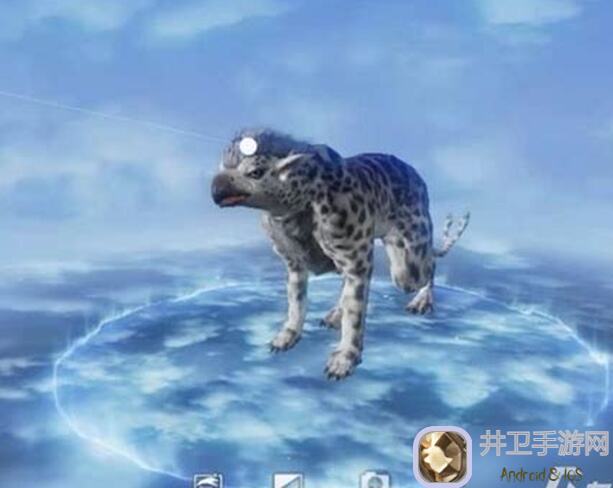 妄想山海里的山海宠物技能如何搭配才最强？