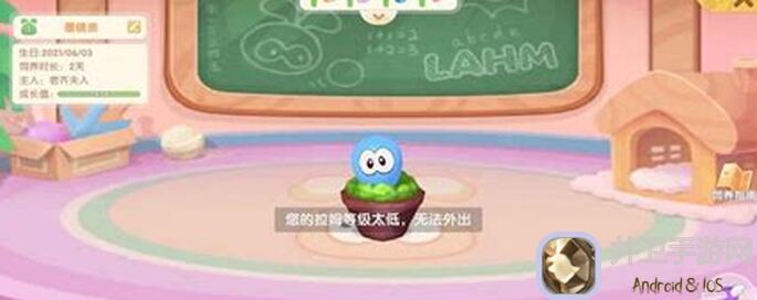 摩尔庄园拉姆小馒头攻略：零氪玩家必看，99%通关秘籍大揭秘！
