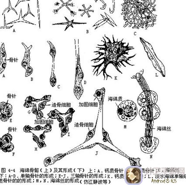 动物森林小白新手攻略：开局养3只萌萌的老鼠!