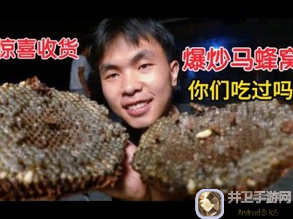 爆炒江湖爆炒攻略全解析：成为最强玩家秘籍大揭秘！